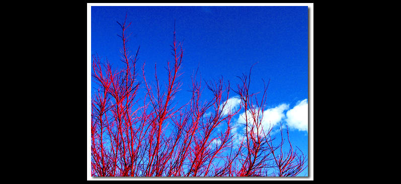 Soul Sky