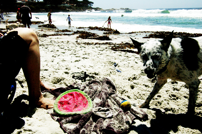 Cate Mulligan — Digital Design & Image Management